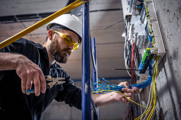 Best Electric Panel Repair  in Lockport, LA